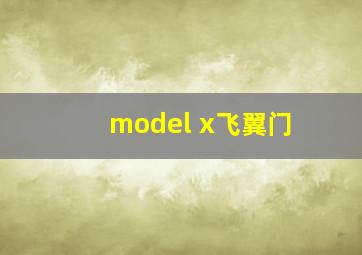 model x飞翼门